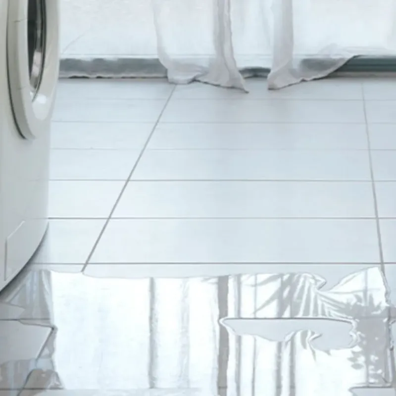Appliance Leak Cleanup in Elizabeth City, NC