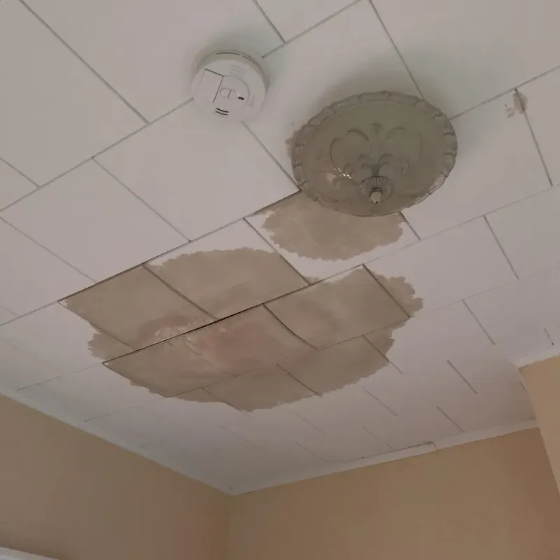 Ceiling Water Damage Repair in Elizabeth City, NC