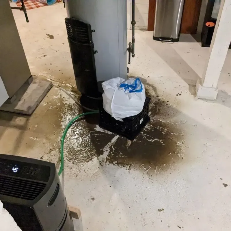 Sewage Backup Cleanup Service in Elizabeth City, NC